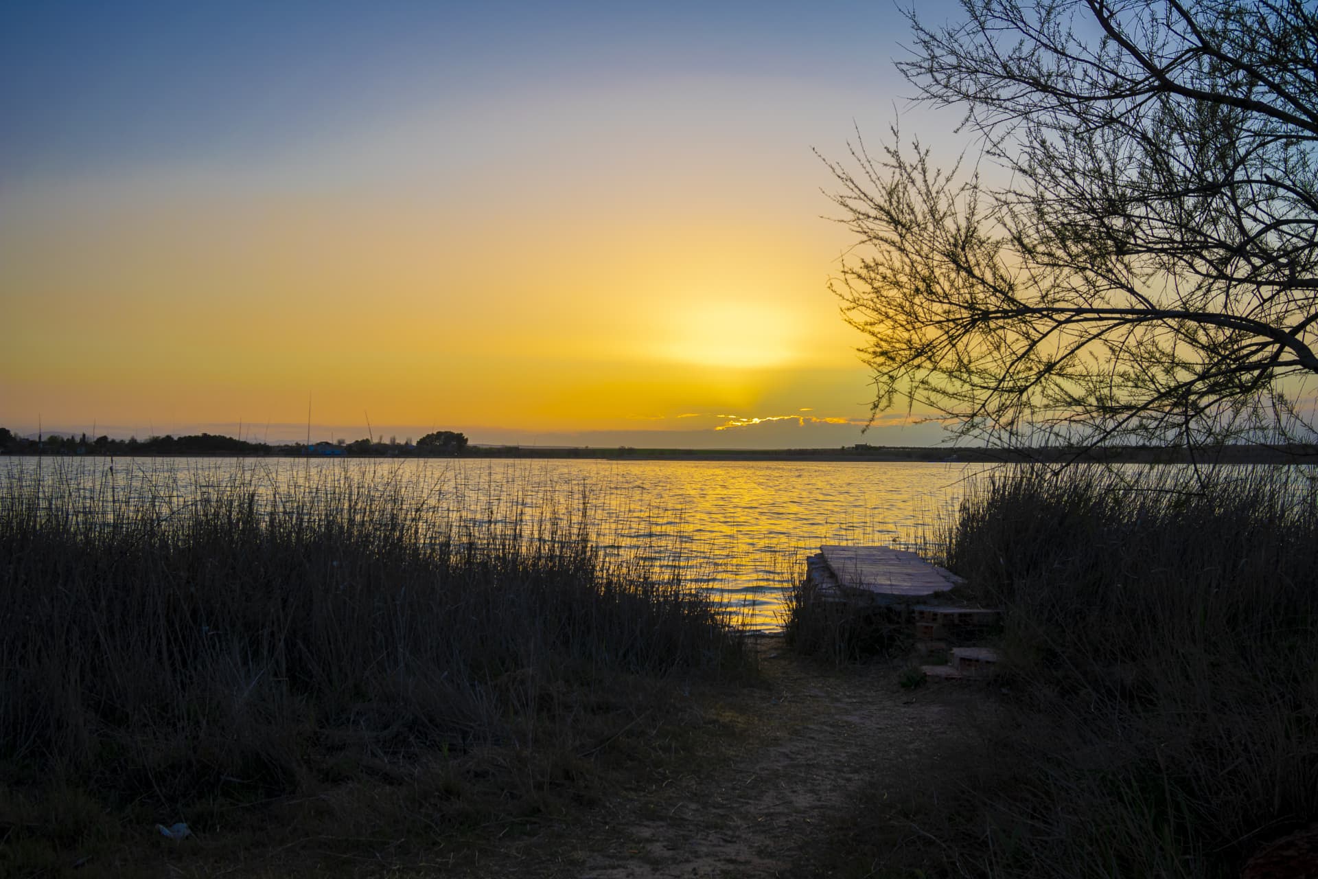 Boardwalk at Potter Marsh Wildlife Sanctuary