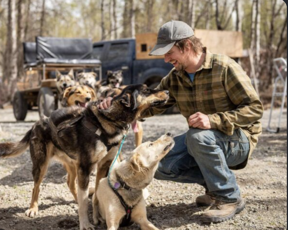 Musher with sled dogs on the dog sled excursion