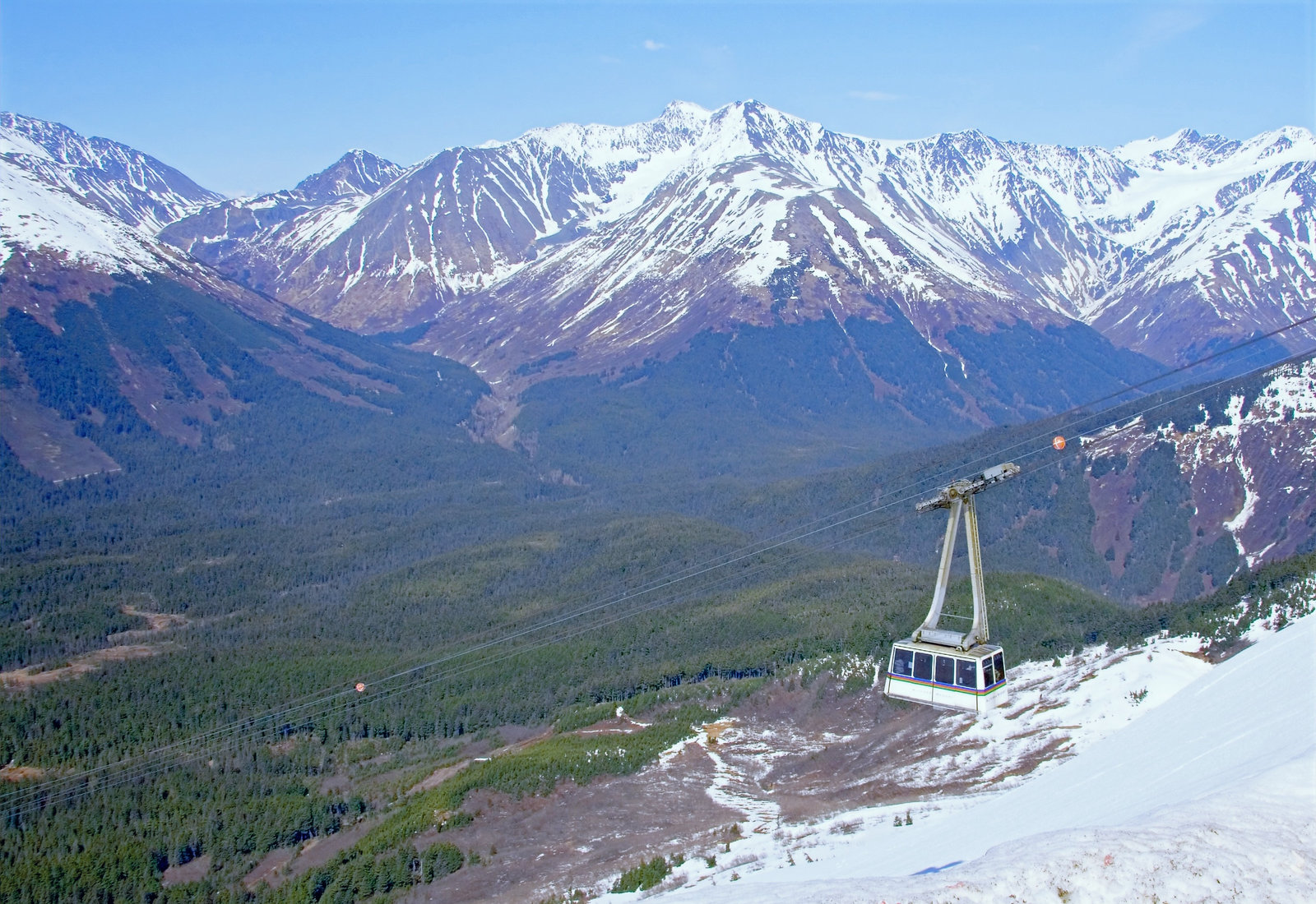 Experiencing Anchorage, Alaska in the Summer with a Private Tour Guide