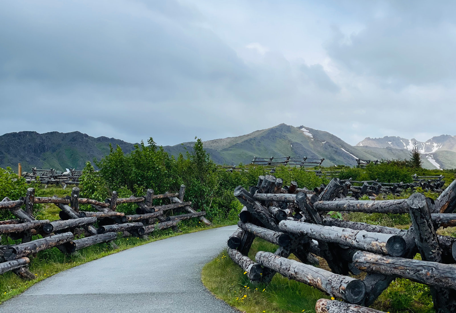 Your Ultimate Guide to Summer Travel in Anchorage, Alaska, including 7 of the best local day trips