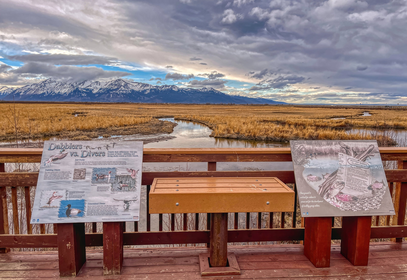 Experiencing Anchorage, Alaska in the Summer with a Private Tour Guide