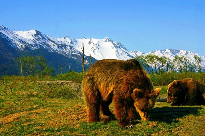 The Top 10 Best Anchorage Year Round Day Tours of 2024